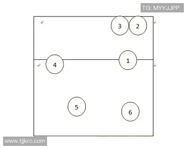 南京排球队的战术控制与球队发展深度解析 南京排球队的战术控制与球队发展深度解析