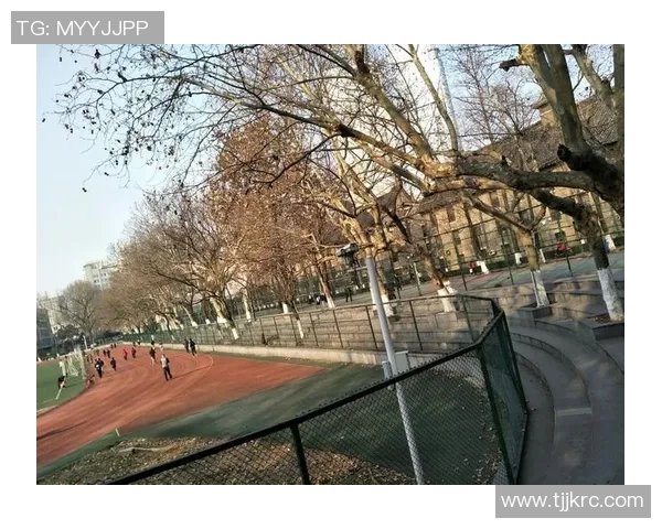 南京乒乓球队成长历程的真实记录与背后的奋斗故事