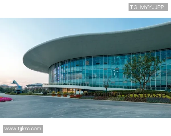 南京极限运动队运营模式创新探索与发展路径分析