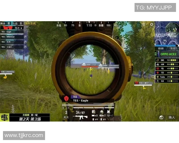 和平精英深度解析：探讨FPX战队成员的个人能力与战术配合